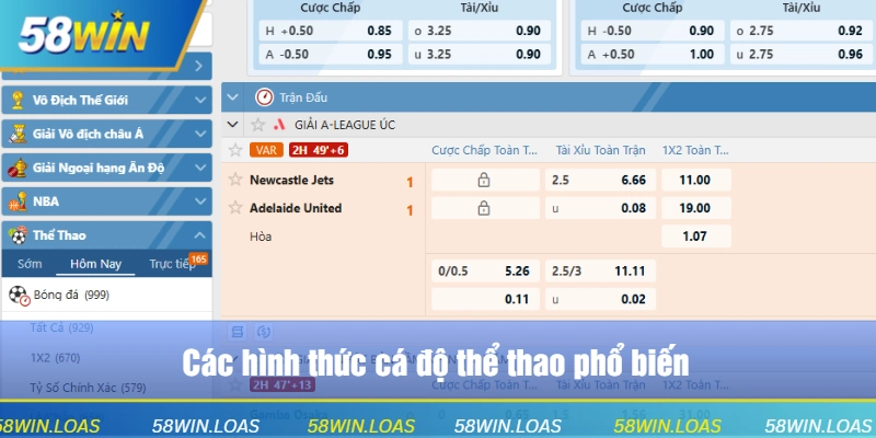 Các hình thức cá độ thể thao phổ biến