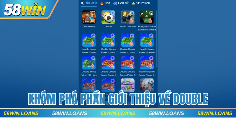 giới thiệu về Double