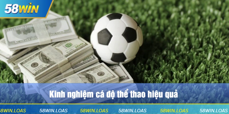 Kinh nghiệm cá độ thể thao hiệu quả