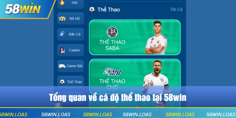 Tổng quan về cá độ thể thao tại 58win
