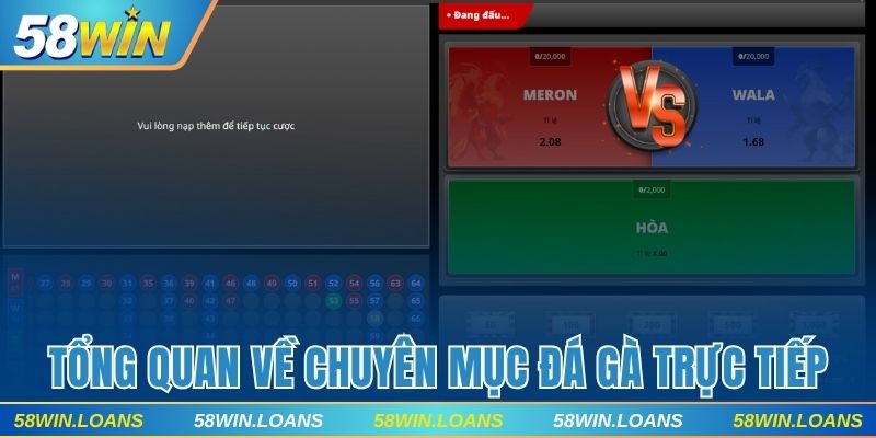 Tổng quan về chuyên mục đá gà trực tiếp